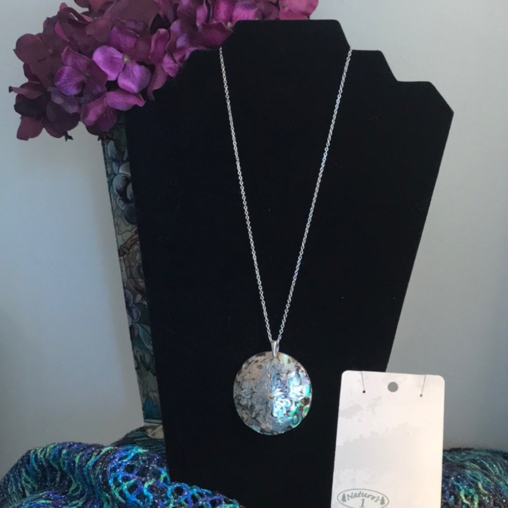 Abalone shell  look necklace from Nature’s 1 22 in